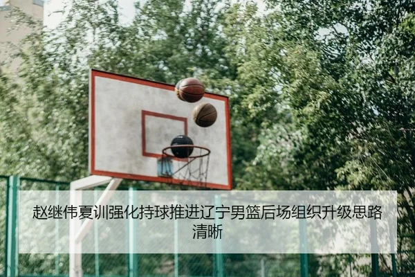 赵继伟夏训强化持球推进辽宁男篮后场组织升级思路清晰